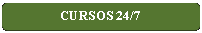 Rect�ngulo: esquinas redondeadas: CURSOS 24/7